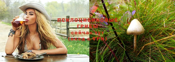 spice Балахна
