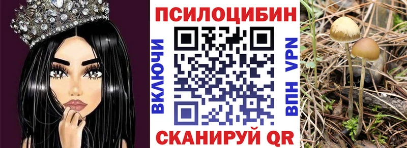 Купить где  Дорогобуж  Галлюциногенные грибы MAGIC MUSHROOMS 